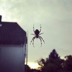 Profile Picture of Patrick Berger (@packele) on Instagram