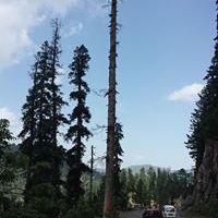 Profile Picture of Asghar Khan (@asgharkhan9216) on Pinterest