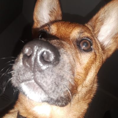 Profile Picture of Aaron Stonecipher (@AaronStoneciph5) on Twitter