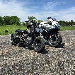 Profile Picture of Josh Vest (@GiraffeBusy) on Twitter