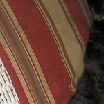 Profile Picture of Darlene Newport Schurg (@darleneschurg) on Instagram