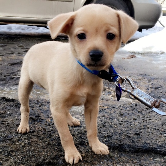 Profile Picture of Haleigh Duprat (@haleighduprat) on Poshmark