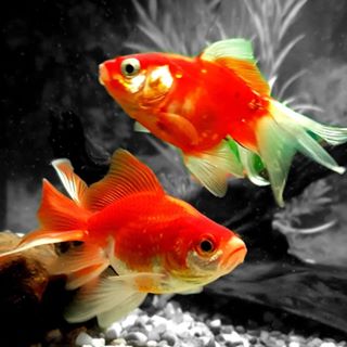 Profile Picture of John Keith Rumney (@jrumney1) on Facebook