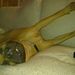 Profile Picture of John Middlehurst (@jmiddlehurst) on Pinterest
