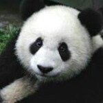 Profile Picture of Stanford Smith (@smithstanford) on Instagram