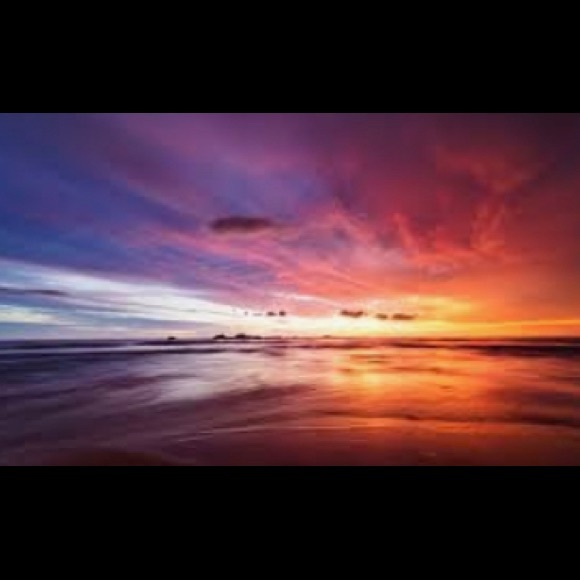 Profile Picture of Roxanne Charka (@sunset_bound_23) on Poshmark