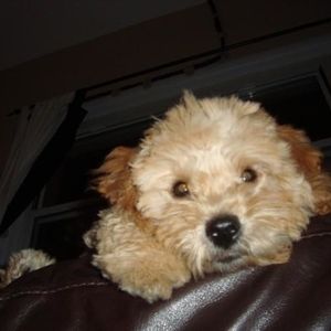 Profile Picture of Stanley Rosa (@scrapys) on Myspace