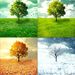 Profile Picture of Robert Detrick (@RobInterestRepublic) on Pinterest