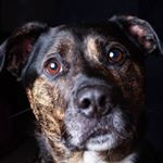 Profile Picture of Delyth James (@delyth.james.58) on Instagram