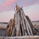 Profile Picture of Marilyn Exum (@exumphotos) on Instagram
