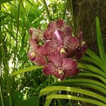 Profile Picture of Philippe roger (@philippe.roger257) on Instagram