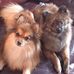 Profile Picture of Beth Ornelles Brown (@beth.brown.9862) on Facebook