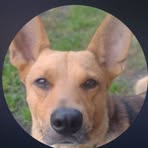Profile Picture of Adam Wajner (@Adam-Wajner) on Facebook