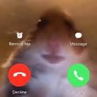 Profile Picture of   TikTok cahlouche... (@lescahlouche) on Tiktok