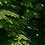 Profile Picture of Keith Hardcastle (@ELY COMPO) on Flickr