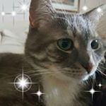 Profile Picture of Pamela Waugh (@pamela.waugh.33) on Instagram