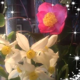 Profile Picture of Carole Gordon Stringer (@carole.g.stringer) on Facebook