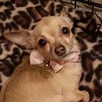 Profile Picture of Shelly Stovall (@shelly.stovall84) on Instagram