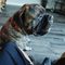Profile Picture of Daniel Monk (@daniel.monk.330) on Facebook