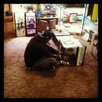 Profile Picture of Bradley Smith (@NiceDartFrogs) on Twitter