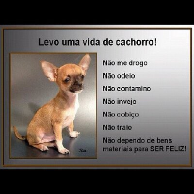 Profile Picture of Mason Emanuel (@MasonEmanuel715) on Twitter