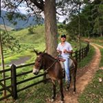 Profile Picture of Felipe Andrade (@felipe.teixeira.946) on Instagram