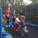 Nira Granot - Instagram Profile Picture of Nira Granot (@nira2850) on Instagram