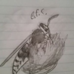 Profile Picture of Alex Swartz (@Alexswartz14) on Twitter