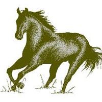 Hazel Meier - Quora Profile Picture of Hazel Meier (@hazel-meier) on Quora