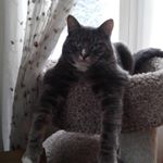 Profile Picture of Robyn Carson (@rmcarson2016) on Instagram