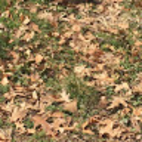 Giselle Rivas - Poshmark Profile Picture of Giselle Rivas (@gisellerivas590) on Poshmark