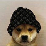 Profile Picture of Muhammad osman (@existioning) on Instagram