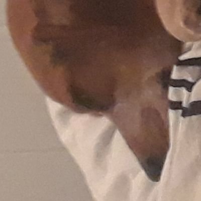 Profile Picture of James Clemmons (@JamesCl93028190) on Twitter
