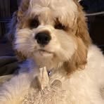 Michele Warzetha - Facebook Profile Picture of Michele Warzetha (@michele.warzetha) on Facebook