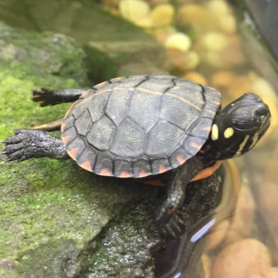 Profile Picture of Eric Knipp (@KnippEric) on Twitter