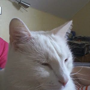 Profile Picture of 000 (@heidibergstrm) on Tiktok