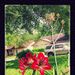 Profile Picture of Lucy Loango (@lucyloango64) on Pinterest