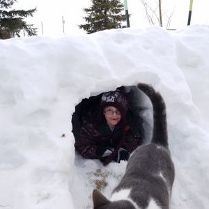 Profile Picture of Steve Leitner (@SteveLeitner2) on Twitter