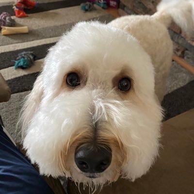 Profile Picture of Mike Rohr (@dermike22) on Twitter