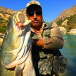 Profile Picture of Hamid zare zadeh (@hamid.fisherman) on Instagram