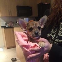 Profile Picture of Dave Crook (@dave-crook-13) on Quora