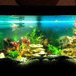 Profile Picture of Roger Büsser (@rogerbuesser) on Instagram