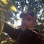 Profile Picture of Javier Castorena (@castorena177) on Instagram