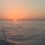 Profile Picture of Jason Matsui (@jazn077) on Instagram