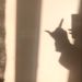 Profile Picture of Paula Rella (@paula1cod) on Pinterest