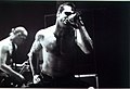 Profile Picture of Rollins Band - Wikipediaon Wikipedia