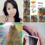 Profile Picture of sandy mok (@dellmok) on Instagram