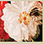 Profile Picture of Cecilia Yu Jin (@perfectcecilia) on Flickr