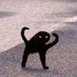 Profile Picture of Zoë Arroyo-Lara (@_ima_do_it) on Instagram