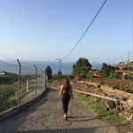 Profile Picture of Terry Willis (@terrywilliss_) on Instagram